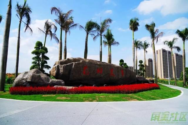 漳州台商投资区中心城区花田美事升级改造 百亩美人蕉将陆续绽放 市民