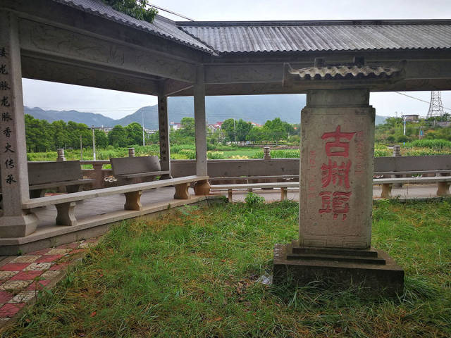 古渊头古樟树下抒怀 古樟千载证沧桑,惯沐风霜仍郁苍.