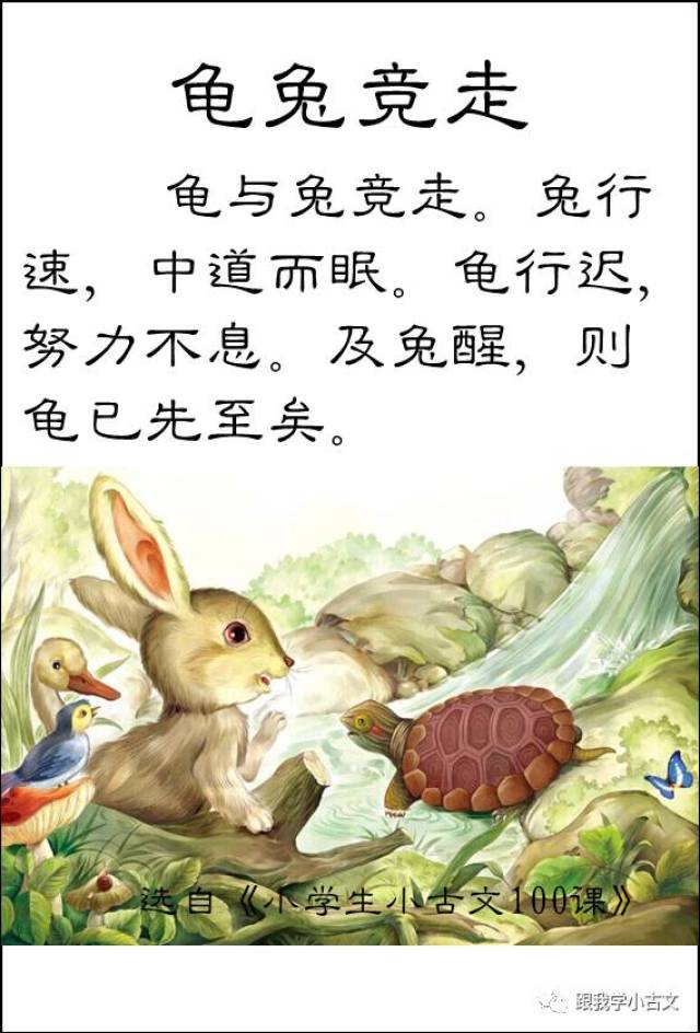 【跟我读小古文】12.龟兔竞走