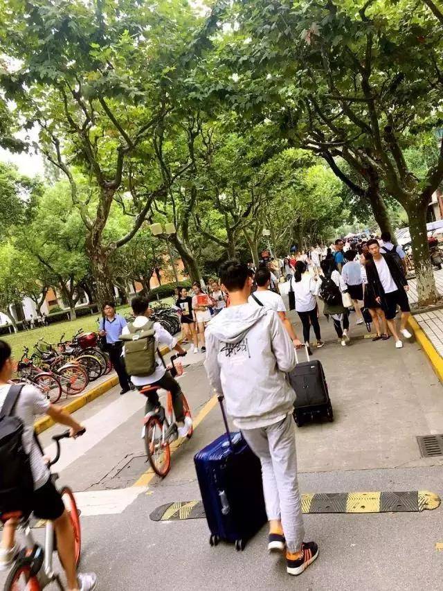 同济大学开学季,带你重温校园
