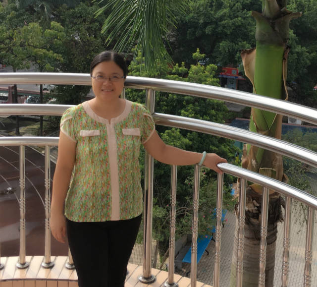 何颜英seo 搜狐网