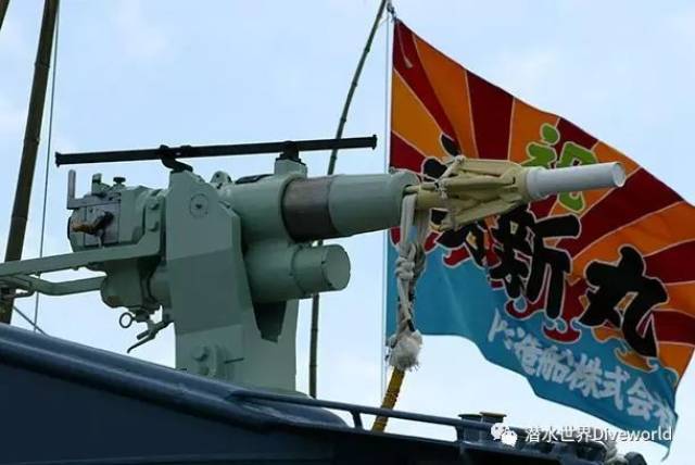 环保海洋守护者协会因装备落后不得不停止在南大洋追踪日本捕鲸船