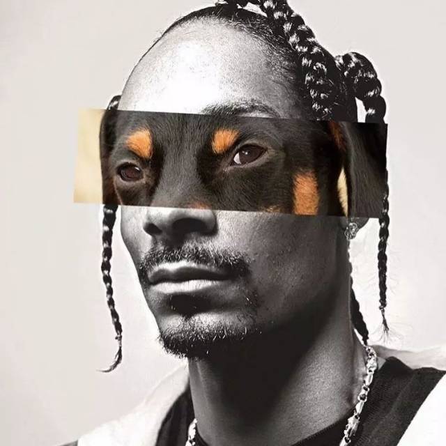 如何才可以让自己看起来像一名rapper?