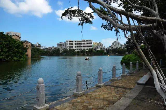 海口的綠,在人民公園的 東湖裡