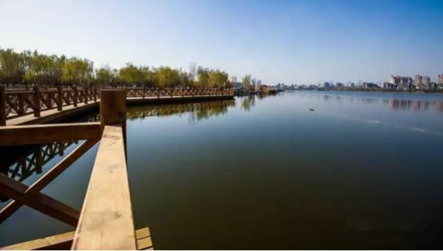 秋殇银川,几大赏秋景好去处