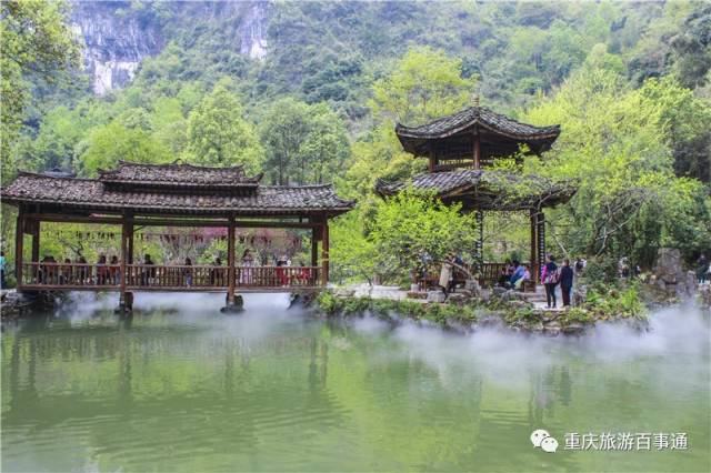 老年征文比赛：用文字记录美好时光