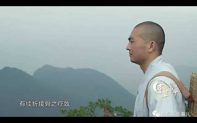 延寿丸、黑玉断续膏…武侠小说里的药材竟然真