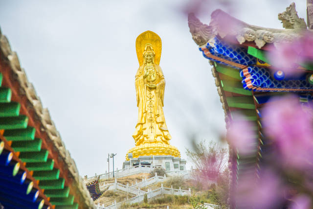 贵德南海殿田园风光处追寻青田断脉之遗踪