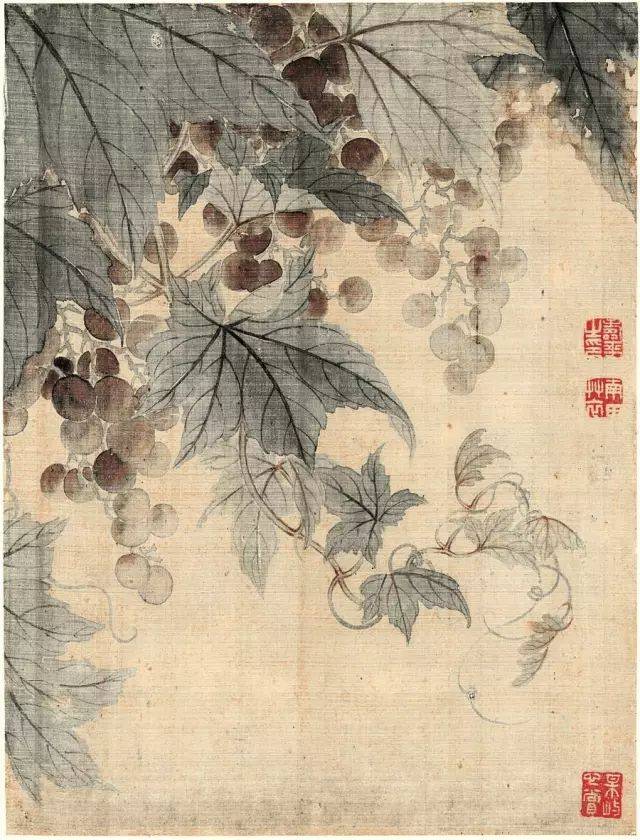 开常州画派,创没骨画风|一代花鸟画宗师恽南田