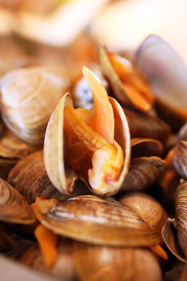 黄蛤蜊,看得见的鲜美.