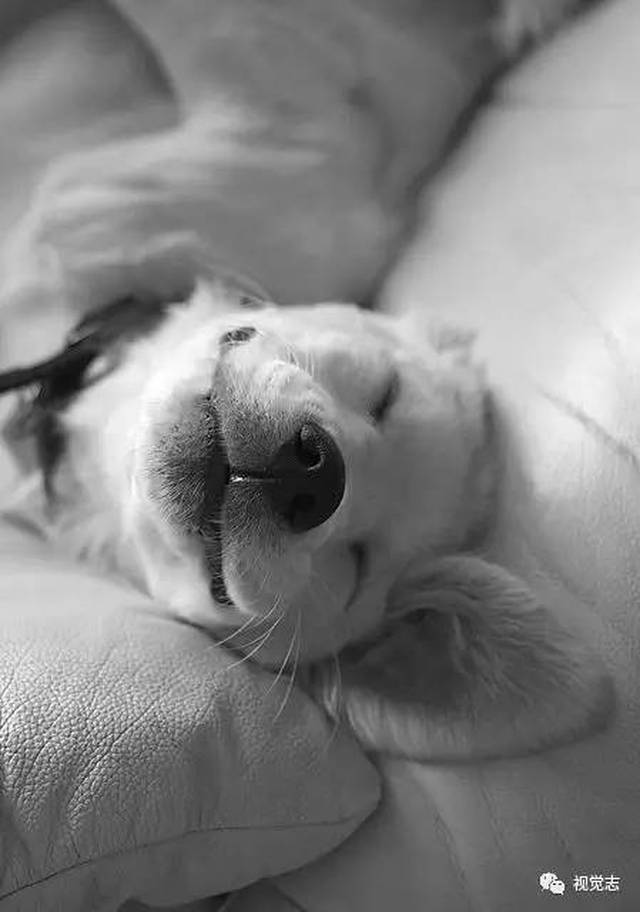 "你笑起来真好看.