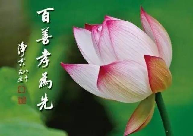 蔡礼旭老师:《百善孝为先》