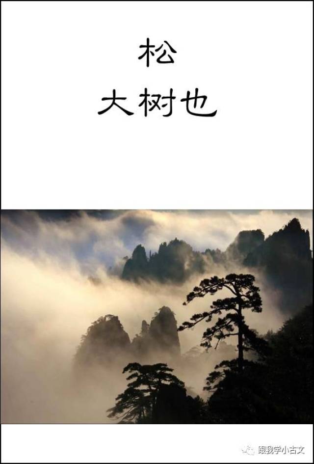 形容树的古文,描写树的文言文句子,描写树木的诗句_大山谷图库