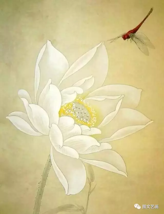 工笔国画,荷花,高清作品欣赏