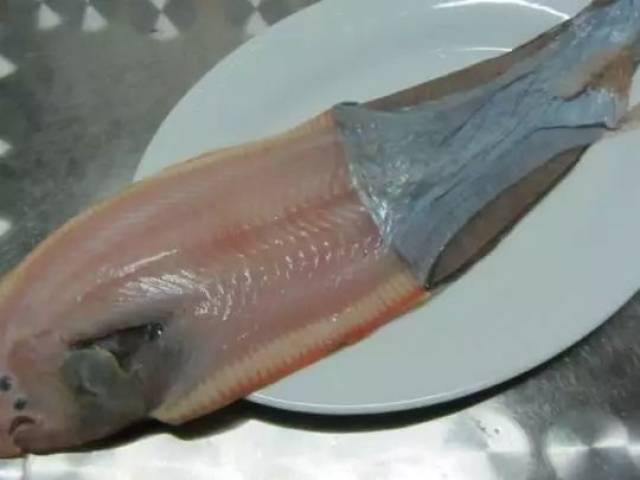 09 青占 温岭最常见的海鱼之一,没有温岭人说自己没吃过!