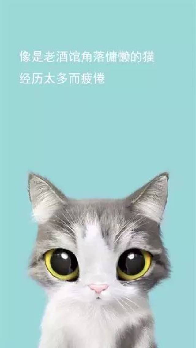 我和我的猫都很想你,突然想起我没有猫,也没有