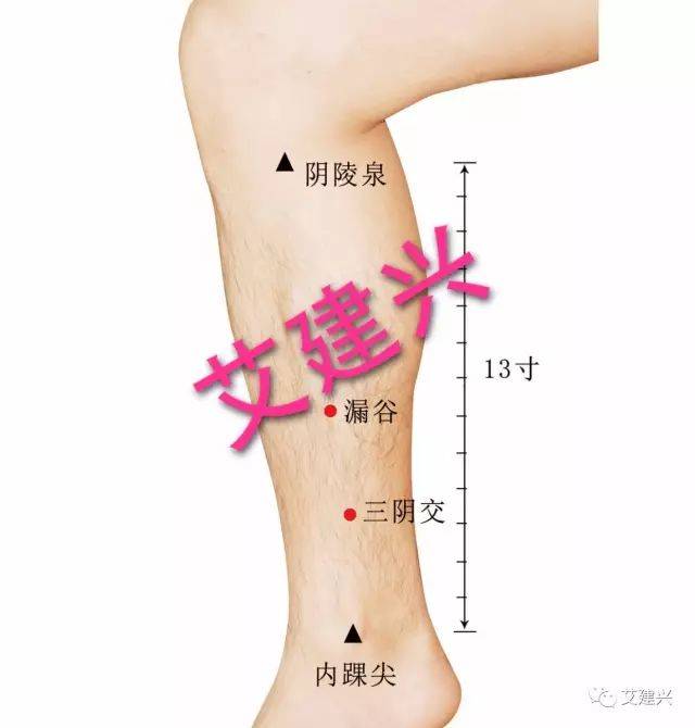 女人多艾灸胸部,既能防治乳腺疾病,又能丰胸美胸!