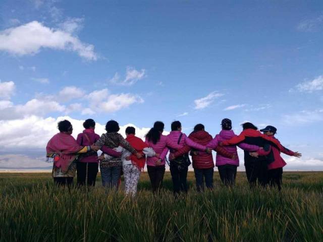 房车与小牛  景美,女人的背影也美