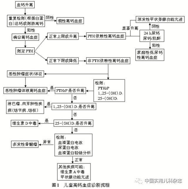 专题笔谈│儿童高钙血症诊断思路