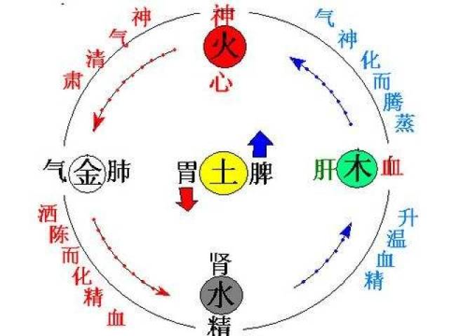 一气周流话阴阳,揭秘黄元御的阴阳论