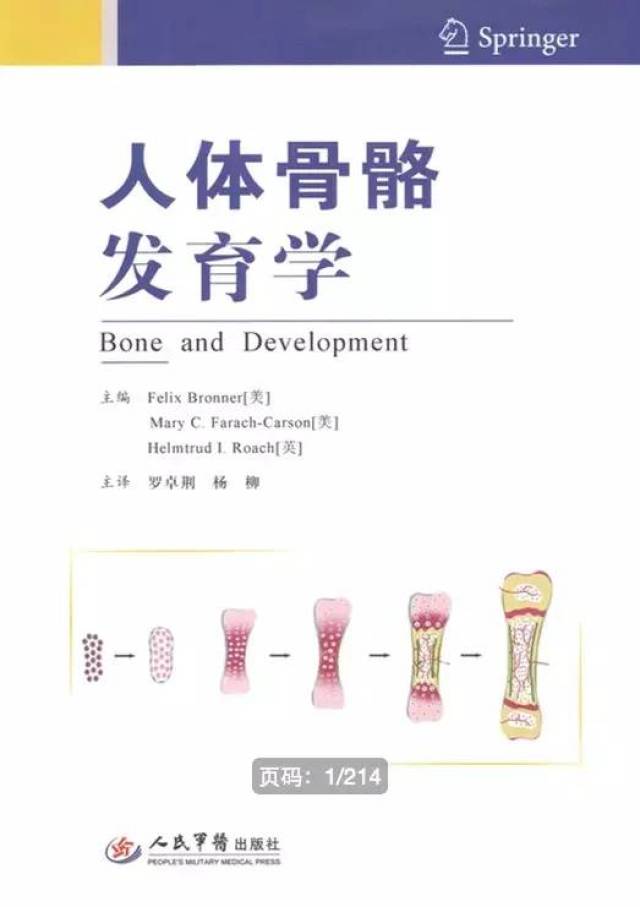 人体骨骼发育学