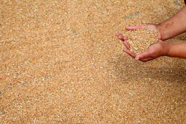 糙米加工成白米时分离出的种皮,糊粉层与胚三种物质混合物通称米糠