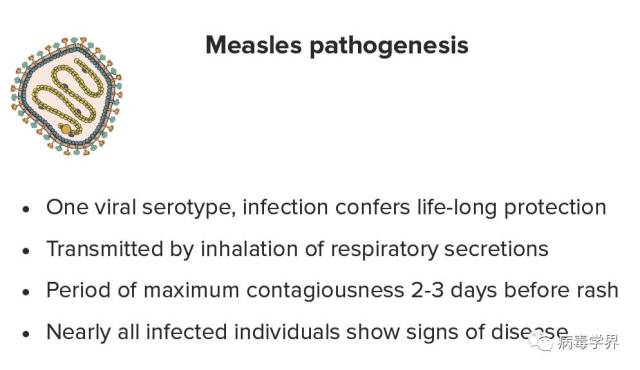 病毒學公開課系列之十六:acute infections