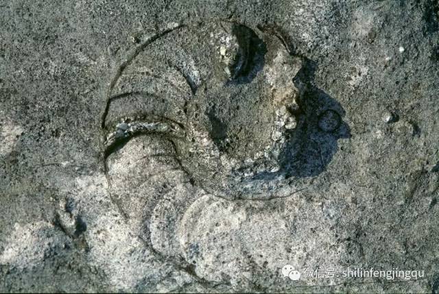 石林是怎样形成的