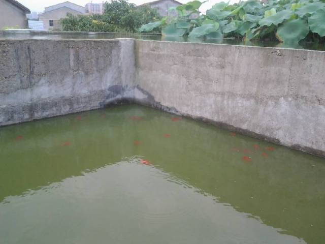 超详细的蓄水屋面 "防水"施工方法,看一遍就会