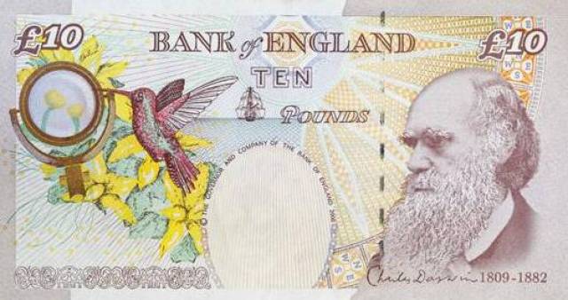 旧版10英镑背面的画像是达尔文