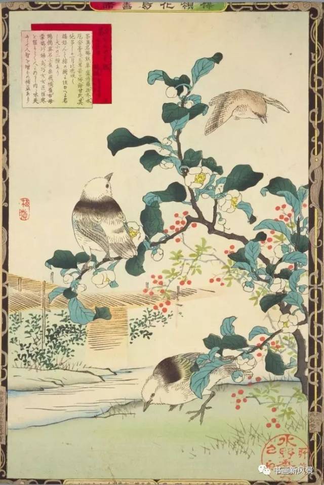 看看这本日本花鸟画谱！_搜狐网