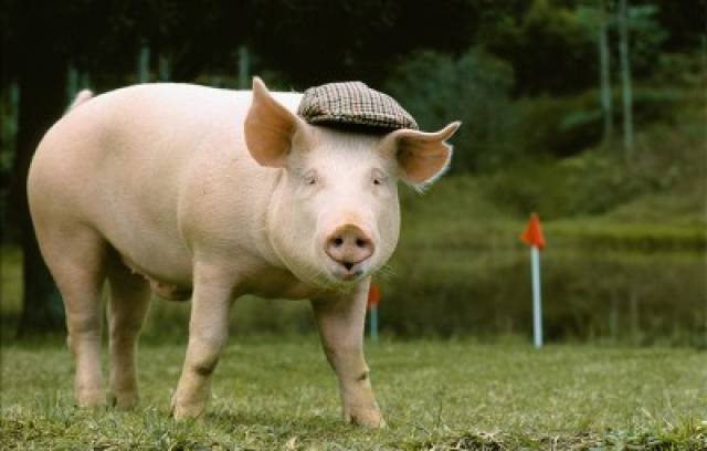 未来一个月财大气粗,有意外之财的生肖