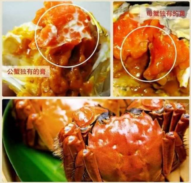 冷冻海鲜行业新气象：品质与保鲜并重