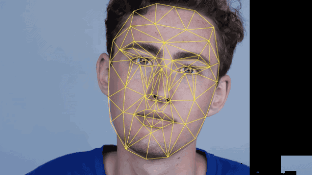 人脸扫描gif图片