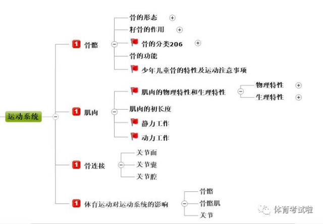 体育资格证科目三运动人体科学思维导图