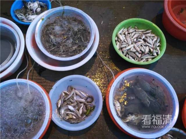 福清买海鲜最便宜最新鲜的地方在这里,不服来