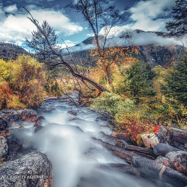 点希望,不念胡话,让生命活的轻松,不等怨话,保持自己的安静和心灵唯美