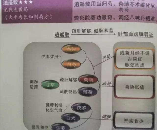 逍遥散原方,逍遥散方解(第2页)_大山谷图库