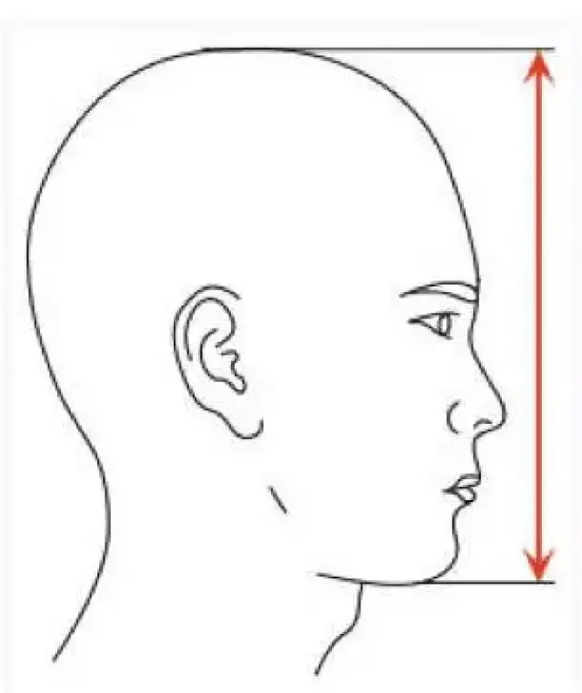 我们常说,女明星的脸是巴掌小脸,那么,到底巴掌小脸是多小呢?