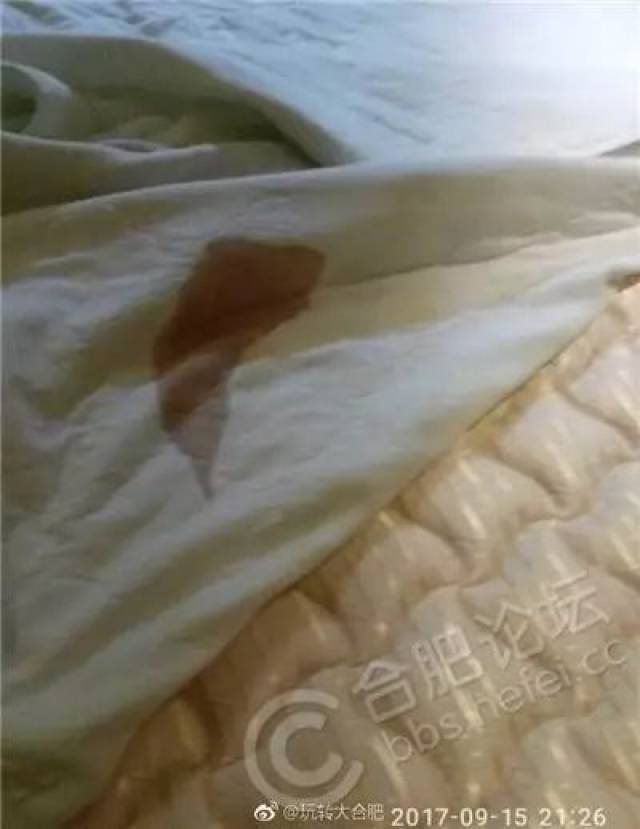情人节酒店湿床单图片图片