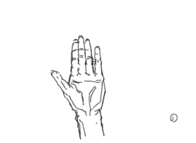 干货丨考试必备手部素材,请熟知!