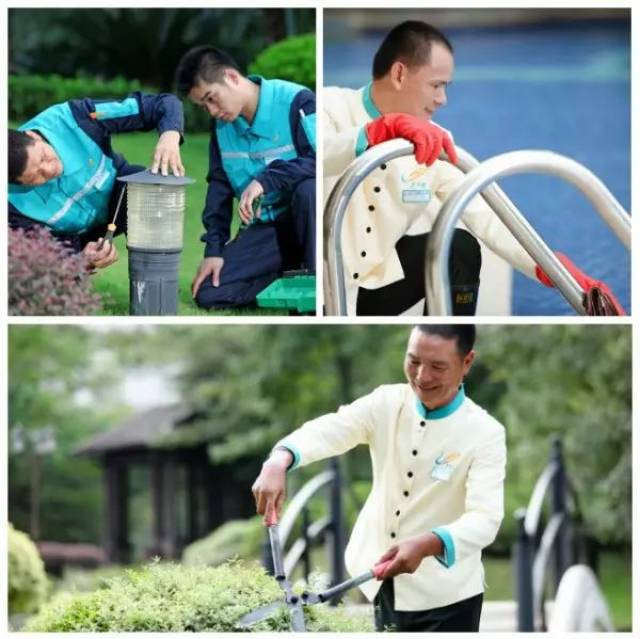 小到细微之处,碧桂园物业给您五星级的贴心服务-科技频道-手机搜狐