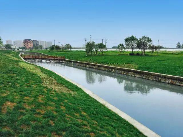 整治河岸保绿化,让水美起来