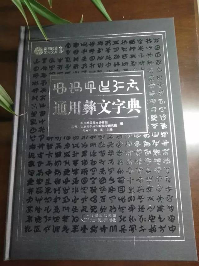 《通用彝文字典》