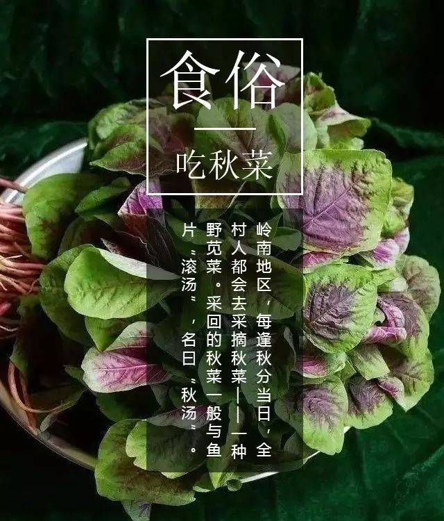 感受传统节气文化——秋分