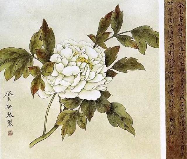 韦斯琴:书法的意境其实是人的心境(视频范临)