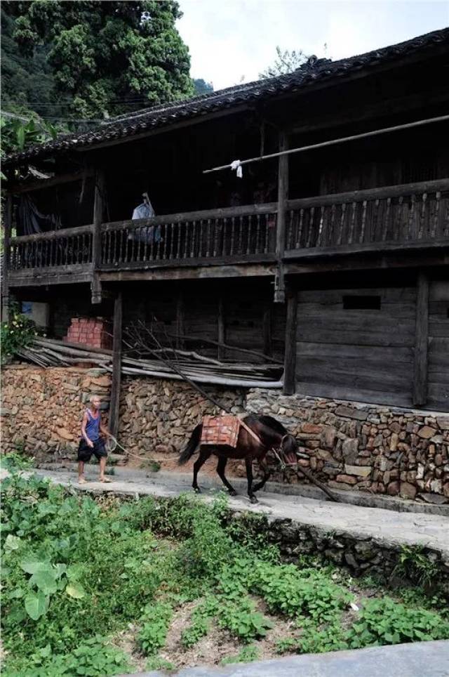 藏于深山的生态博物馆,民族建筑的活化石——三都怎雷村
