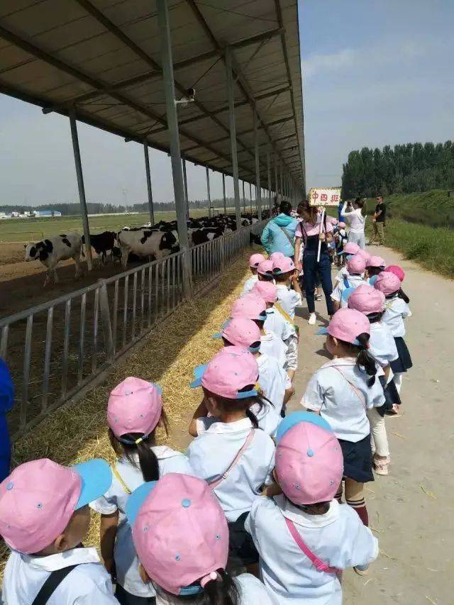 花花牛牧场基地图片