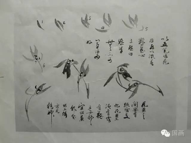 兰书写,_大山谷图库