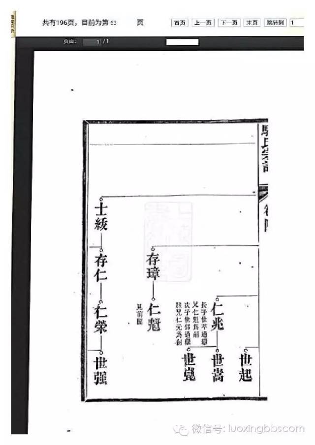 宗支和分支是什么意思,宗族分支是什么意思,什么是分支_大山谷图库